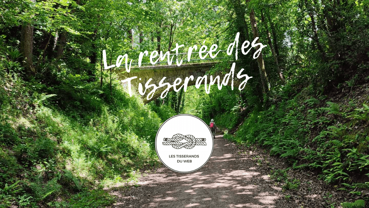 Formation Notion sur l'organisation, du chaos à la structuration